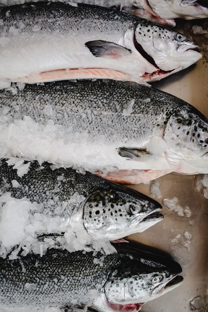 Fatty fish
